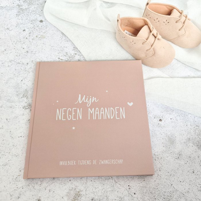 Fien & Feau - Negen maanden boek