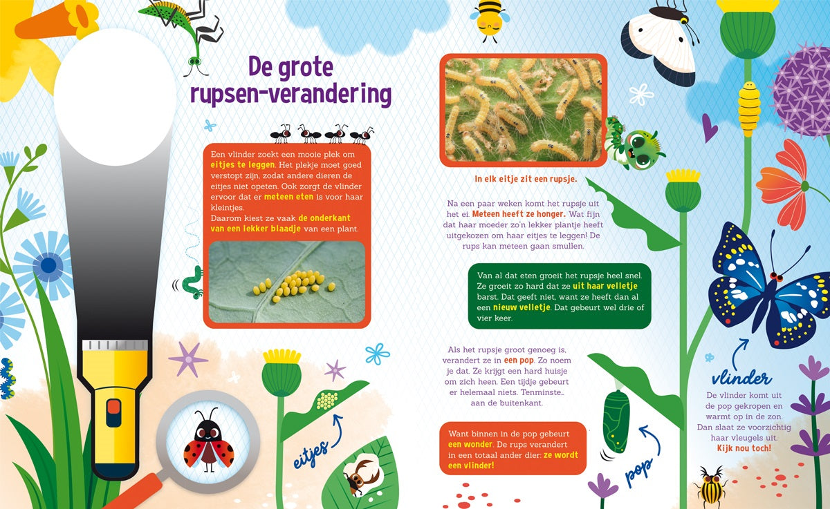 Speuren naar insecten