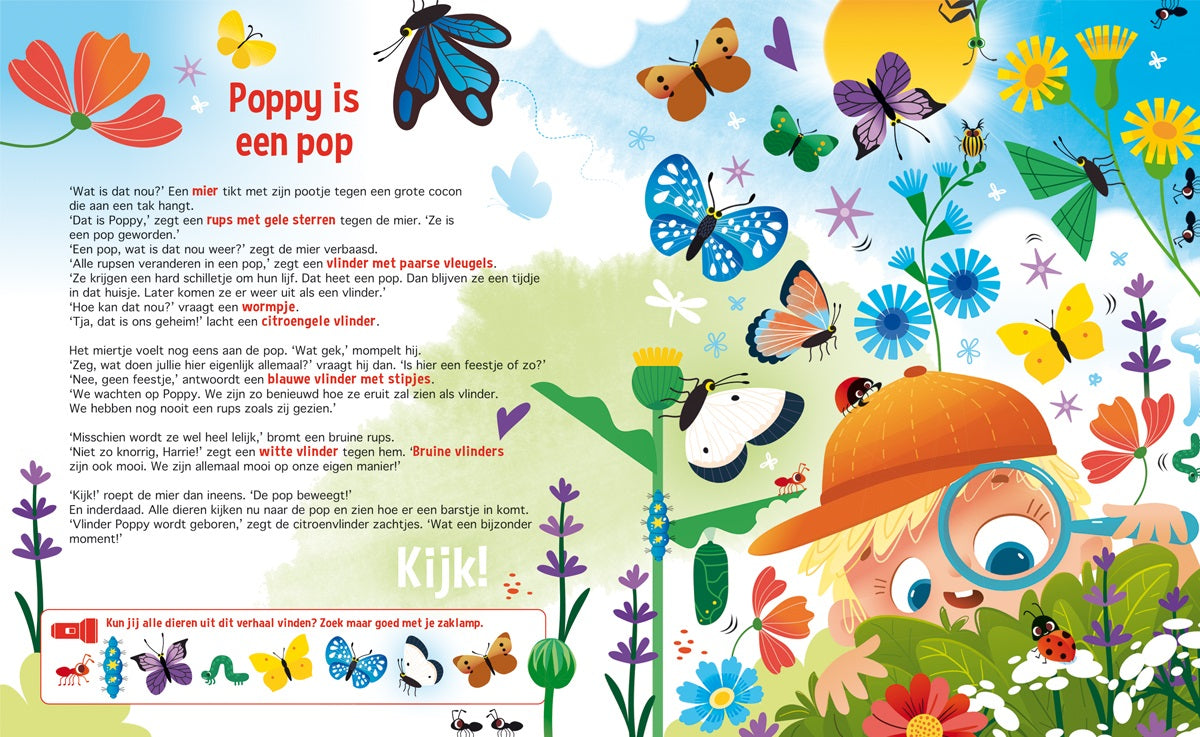 Speuren naar vlinders