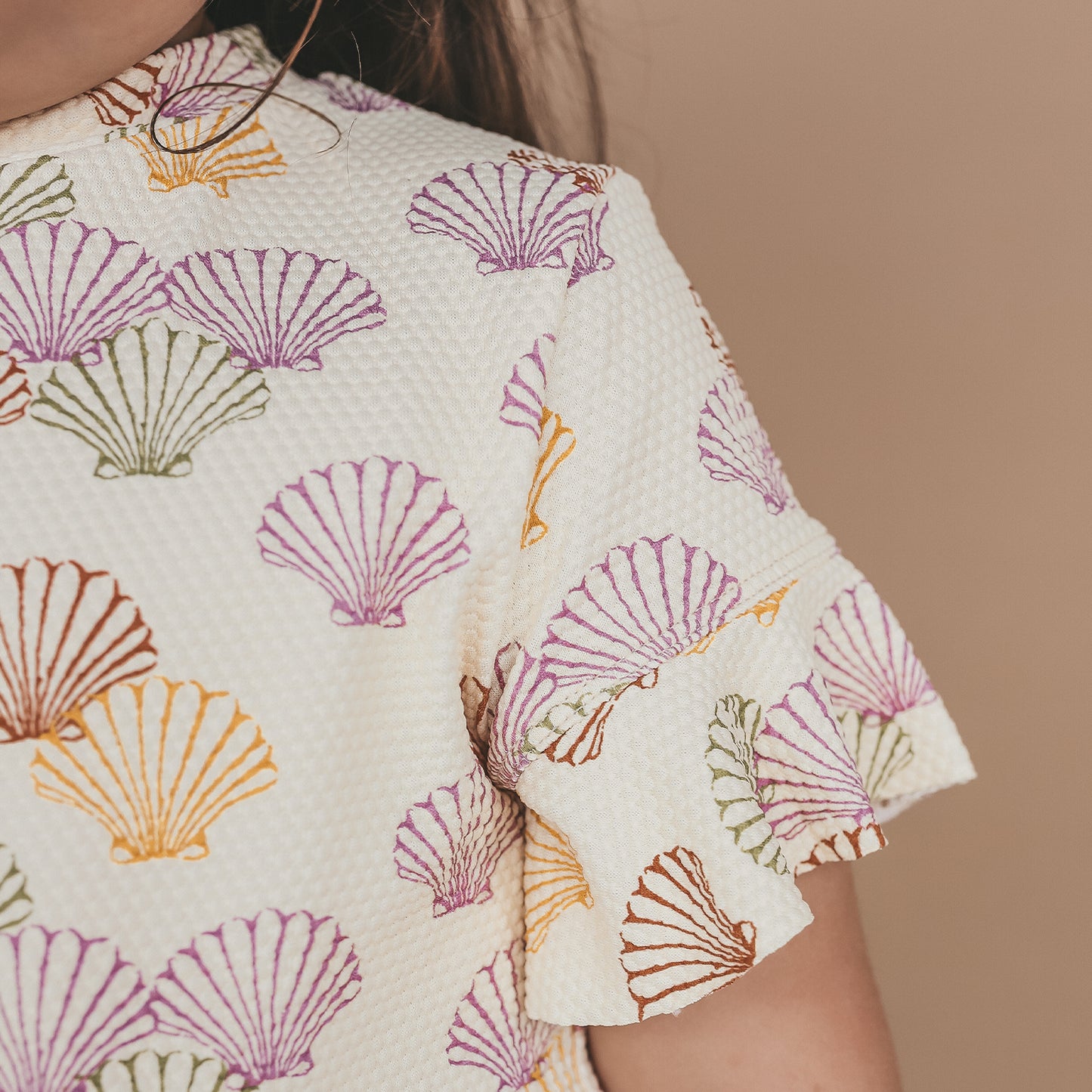 Salted Stories - Shells set