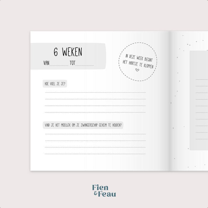 Fien & Feau - Negen maanden boek