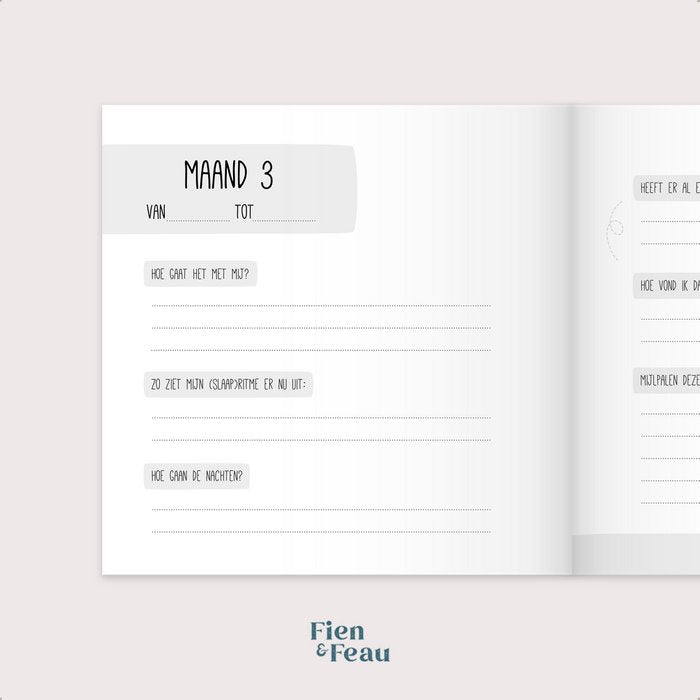 Fien & Feau - Negen maanden boek