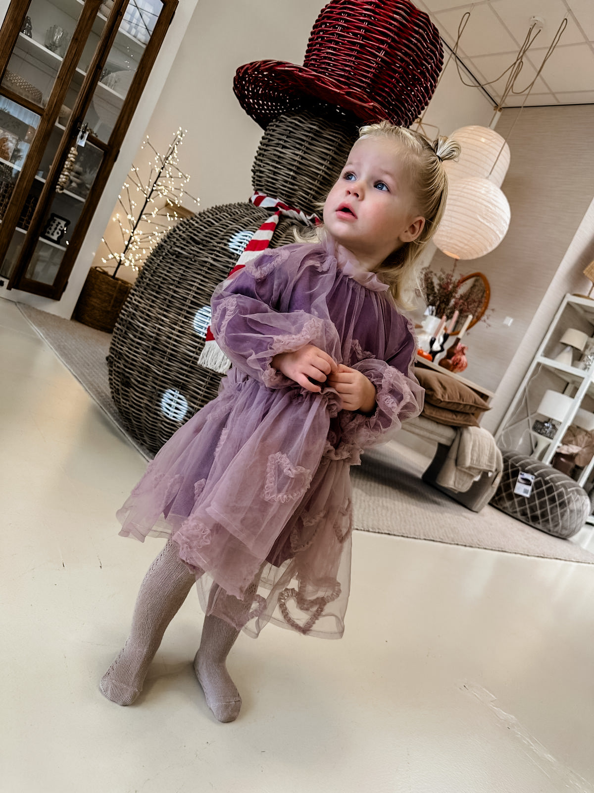 Baje Studio - Camberlya purple plum