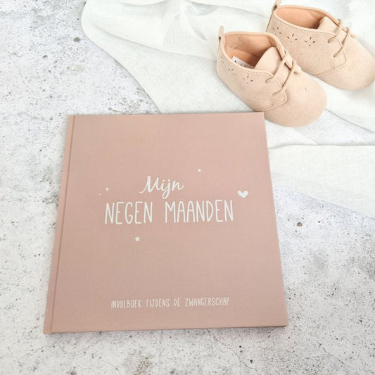 Fien & Feau - Negen maanden boek