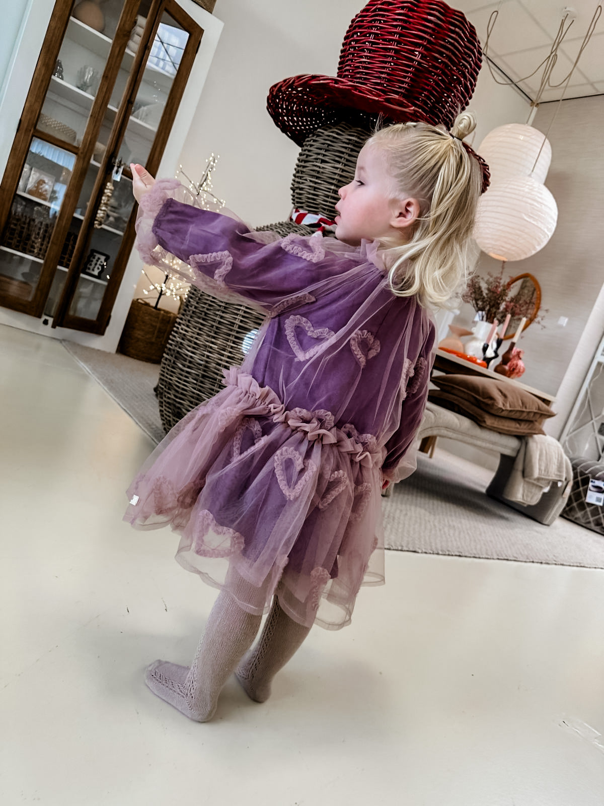 Baje Studio - Camberlya purple plum