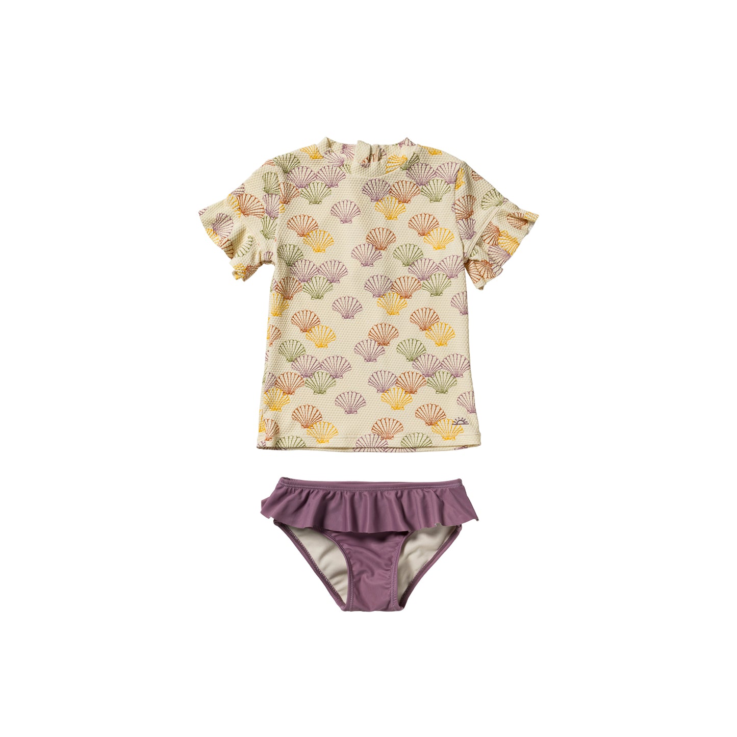 Salted Stories - Shells set