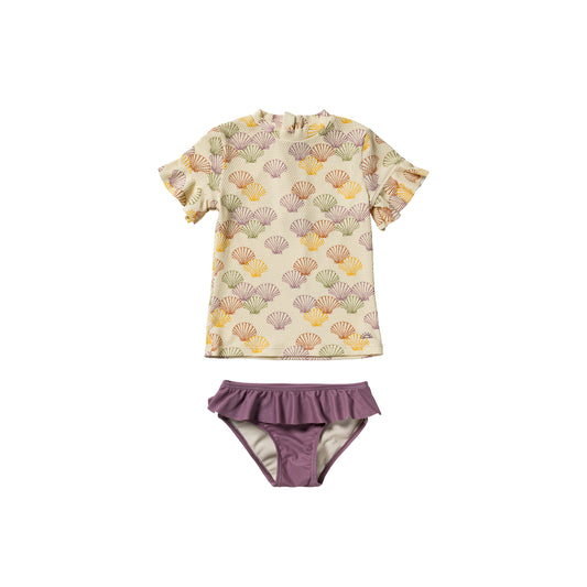 Salted Stories - Shells set